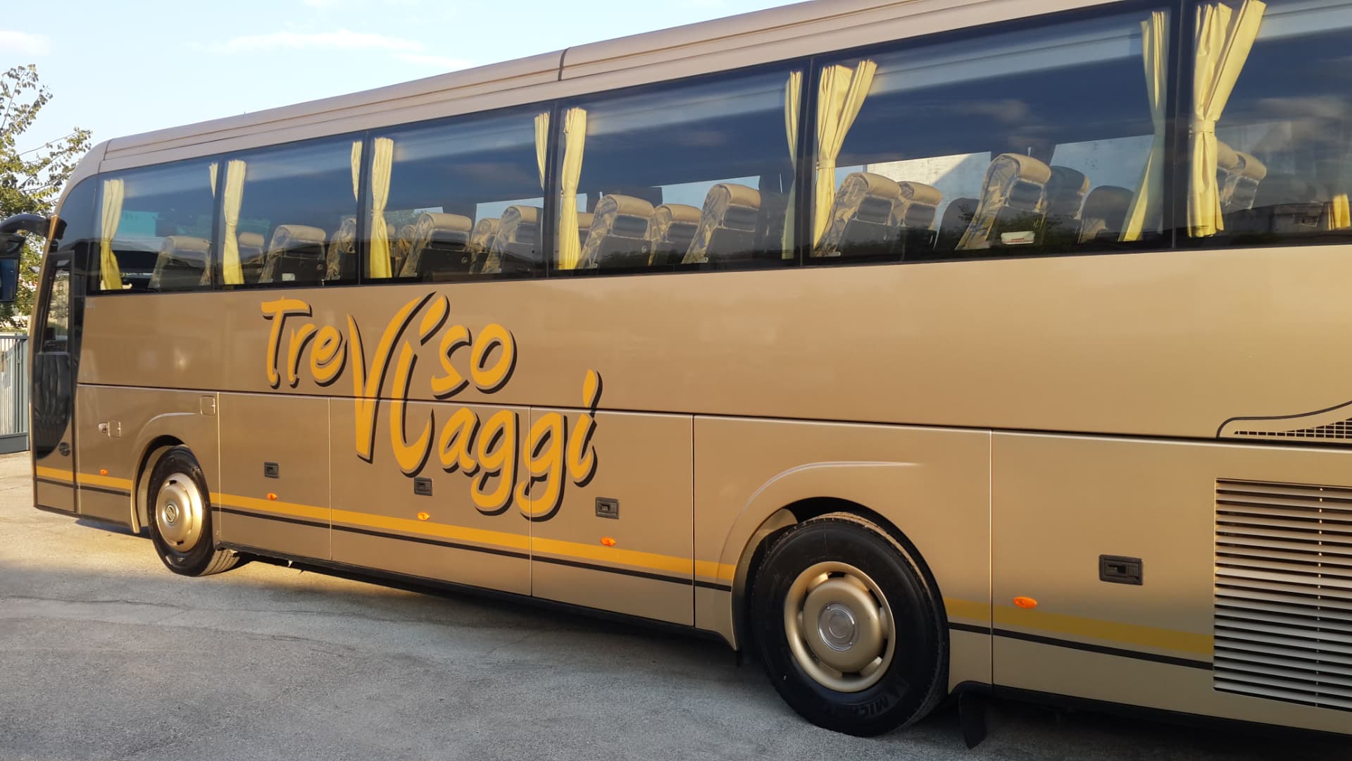 Bus oro Treviso Viaggi